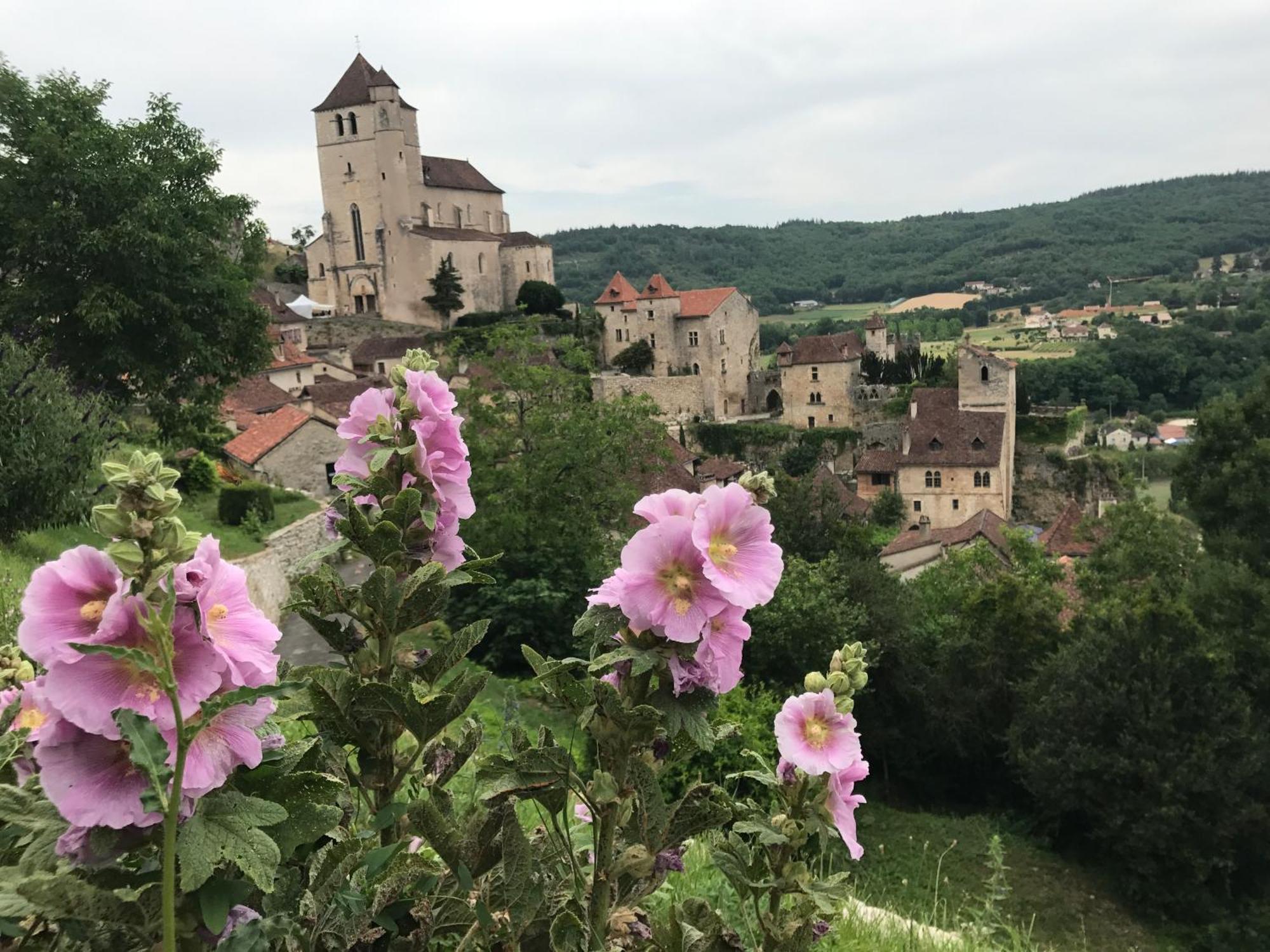 Bed and Breakfast Manoir De Rieuzal Loubressac Exterior foto
