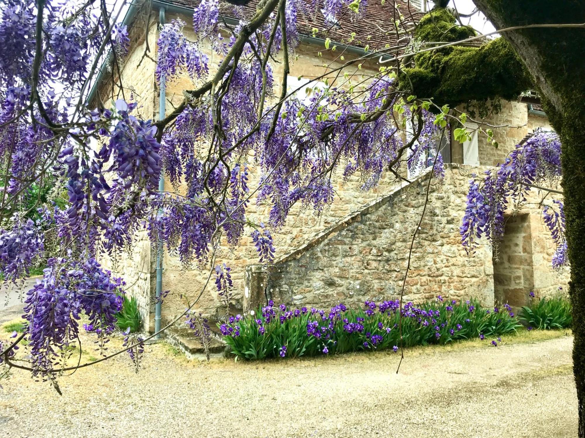 Bed and Breakfast Manoir De Rieuzal Loubressac Exterior foto