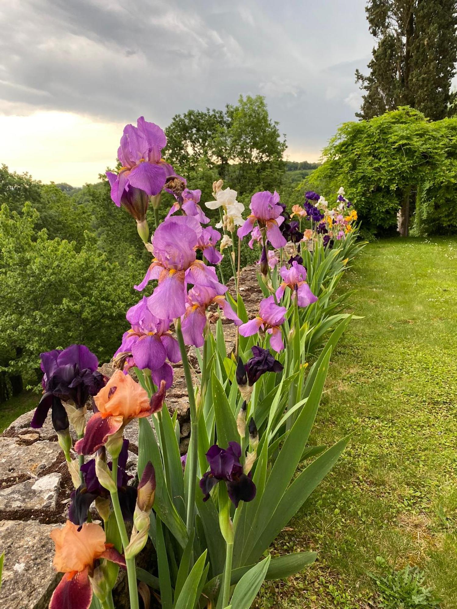 Bed and Breakfast Manoir De Rieuzal Loubressac Exterior foto