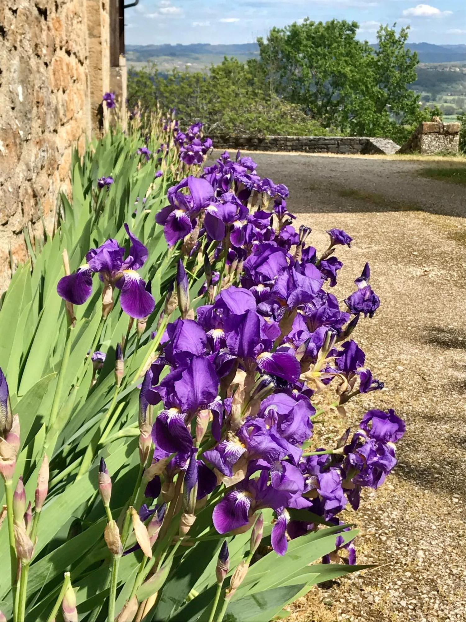 Bed and Breakfast Manoir De Rieuzal Loubressac Exterior foto