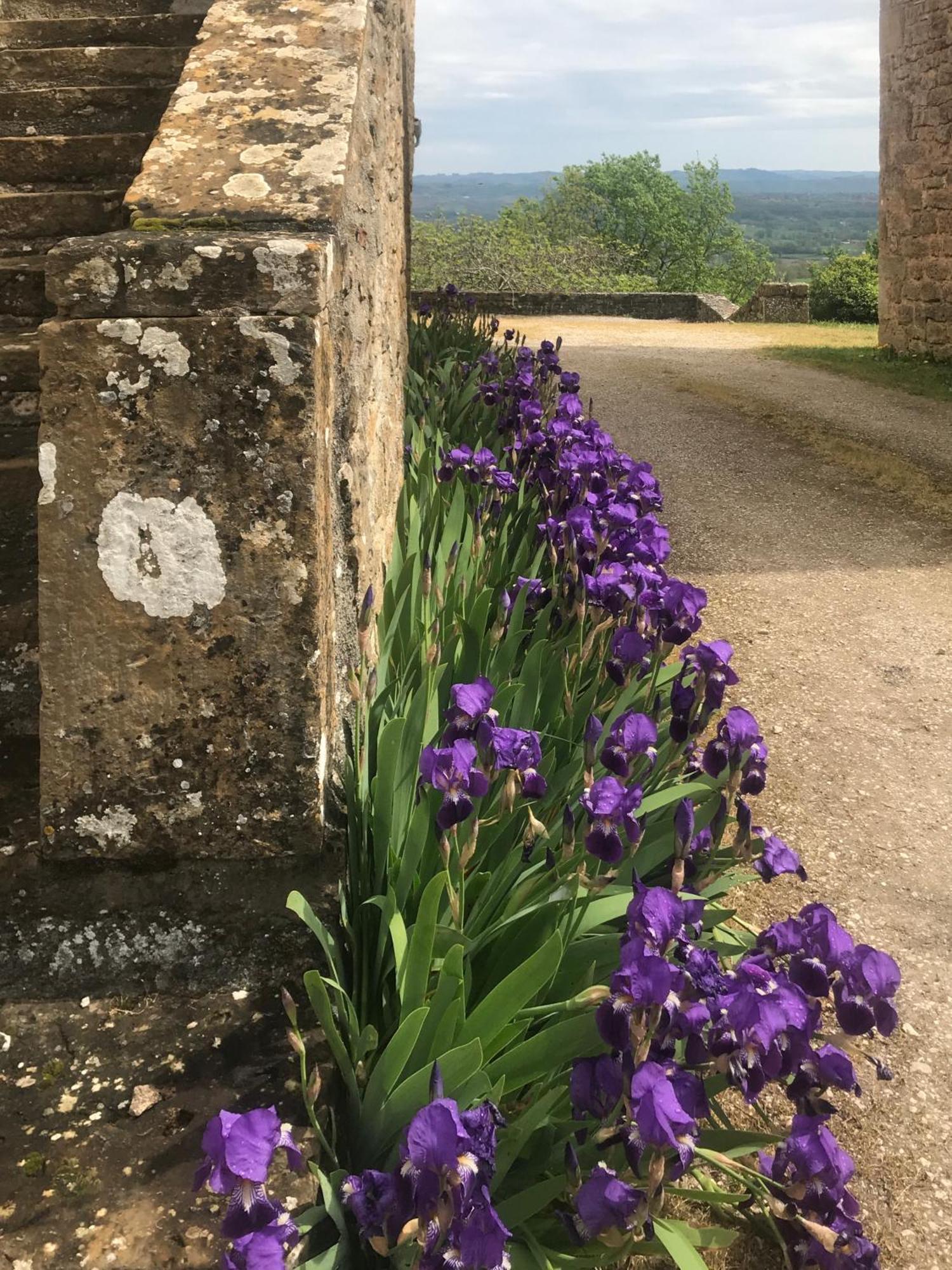 Bed and Breakfast Manoir De Rieuzal Loubressac Exterior foto