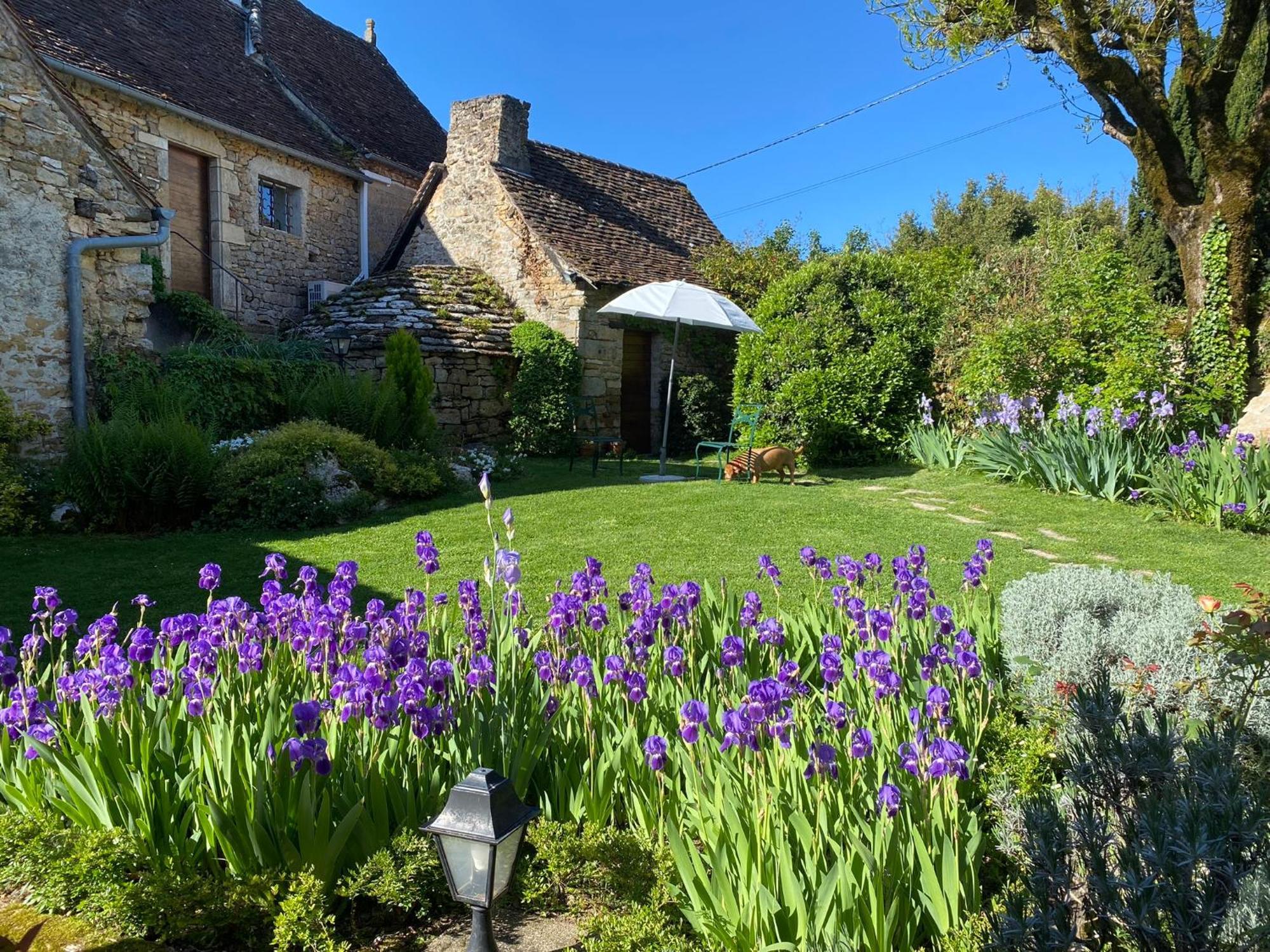 Bed and Breakfast Manoir De Rieuzal Loubressac Exterior foto