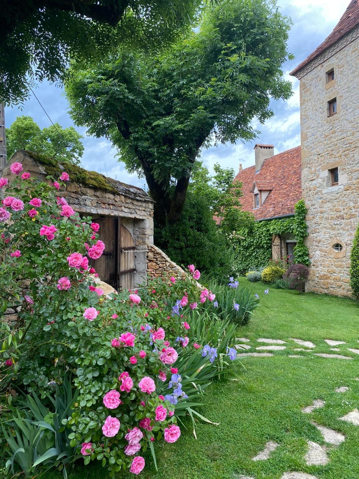 Bed and Breakfast Manoir De Rieuzal Loubressac Exterior foto
