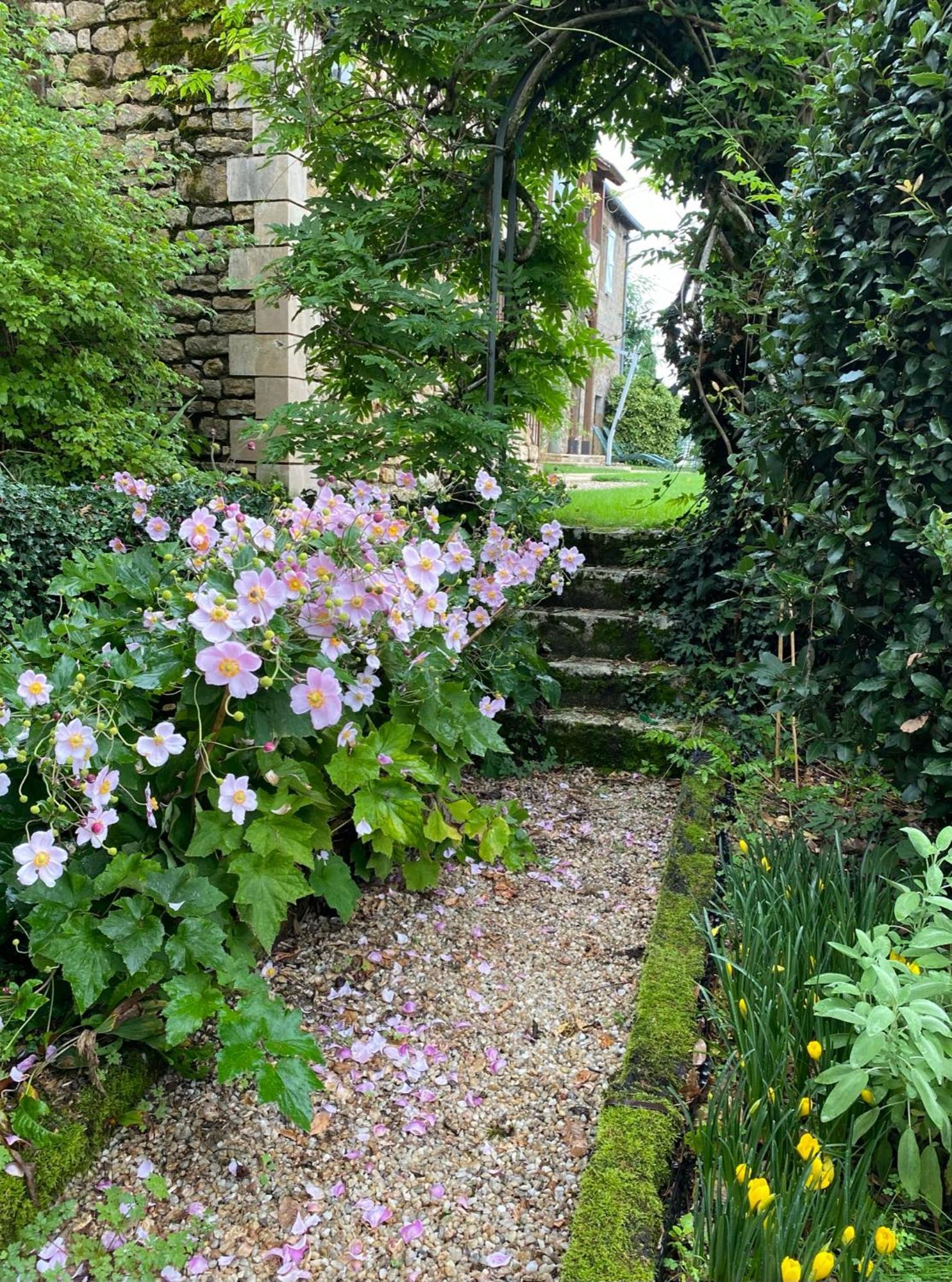 Bed and Breakfast Manoir De Rieuzal Loubressac Exterior foto
