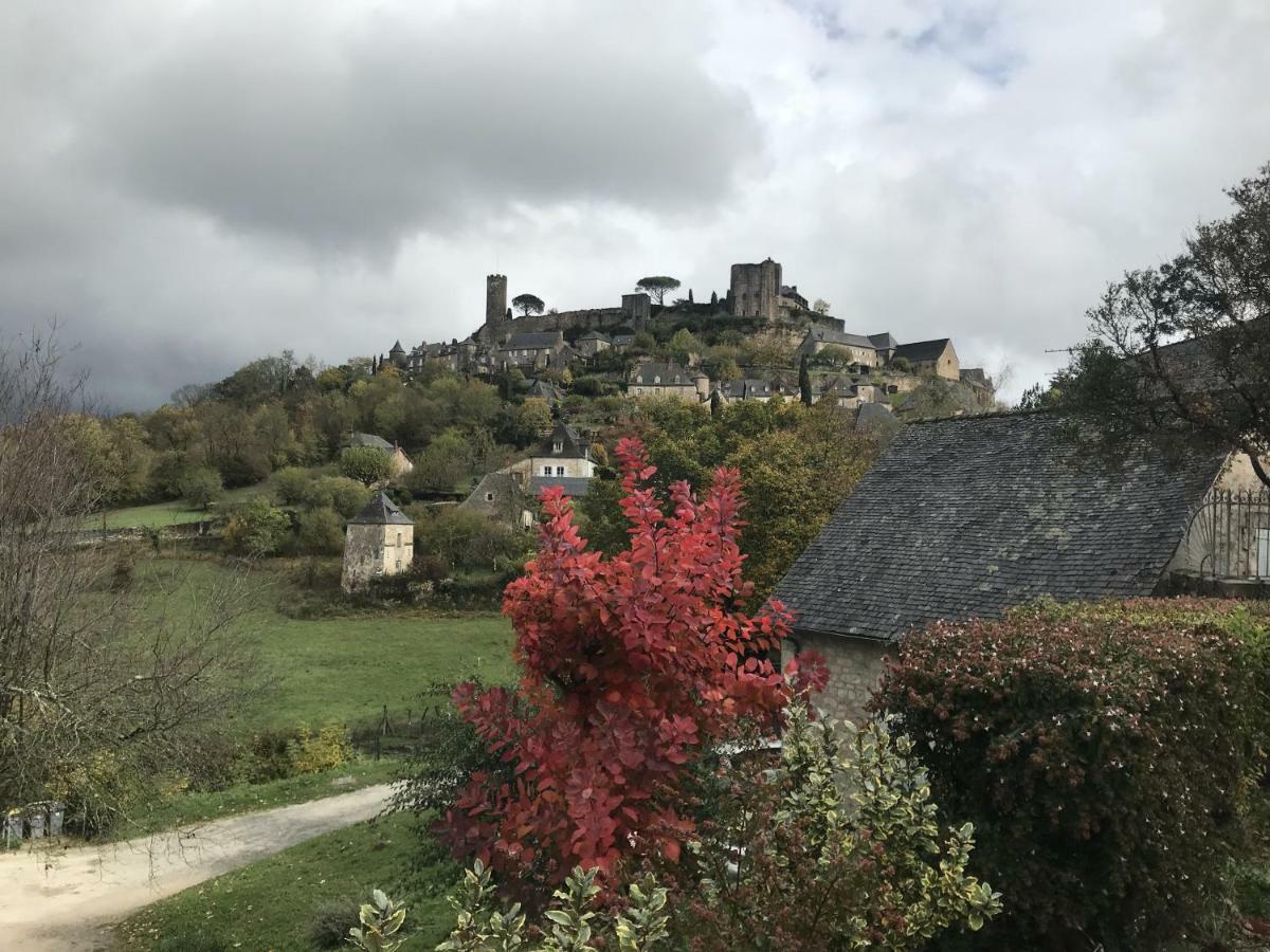 Bed and Breakfast Manoir De Rieuzal Loubressac Exterior foto